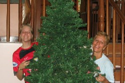 zur Galerie *Weihnachtsbaum aufbauen*