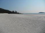 DSCN0931.JPG